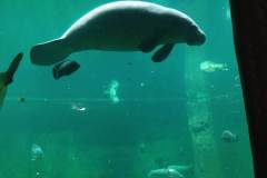 received_1785546095174753