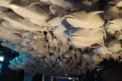 received_647908397181265