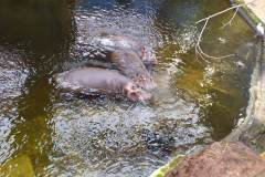 received_672069224665884