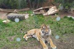 received_771277561362611