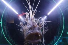 received_954166622439926