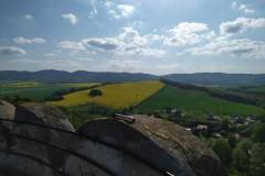 received_794945628803767