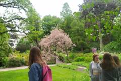 received_223548243729575