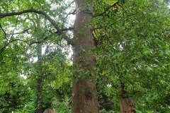 received_2664510677049433