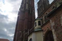 received_3392261717682990