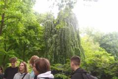 received_625266365949609